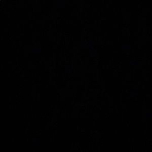 Meet your Posher, Frankie